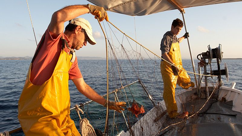 La Comisión Europea está dispuesta a reformar la fórmula para limitar la capacidad de la flota pesquera