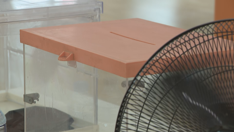 Tot a punt per a la jornada electoral: com funcionen les votacions?