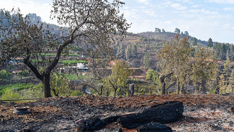 Controlado el incendio de La Palma una semana después tras afectar a unas 2.900 hectáreas