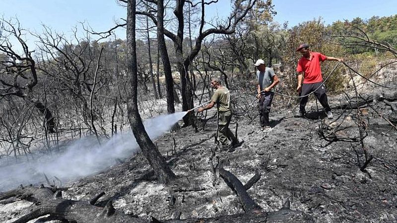 Al menos 34 personas mueren en Argelia tras los incendios forestales que azotan el noreste del país