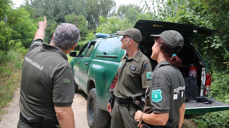 Activada l'alerta per risc extrem d'incendi forestal a Catalunya