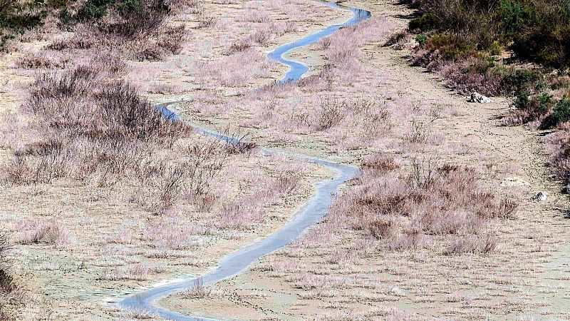España frente al desafío hidrográfico: Enfrentando el cambio climático