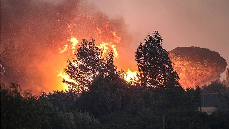 Las altas temperaturas y el viento siguen complicando la extinción de incendios en Grecia, Argelia e Italia