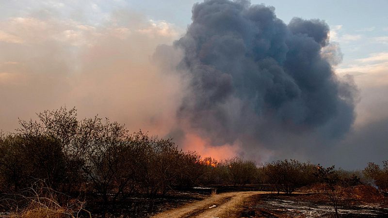 Los incendios que azotan el Mediterráneo dejan más de 40 muertos y miles de hectáreas quemadas