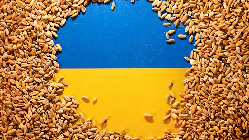 Los ataques contra la exportación de cereal ucraniano, un intento de Rusia de "tomar la iniciativa" en la guerra