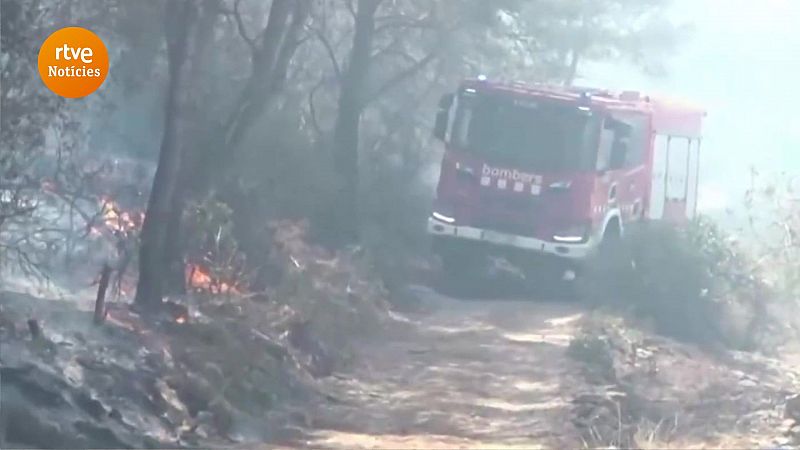 Resum de les notícies a Catalunya de l'1 d'agost de 2023 | Els bombers controlen els focs de Mont-Roig del Camp, el Perelló i el Bruc