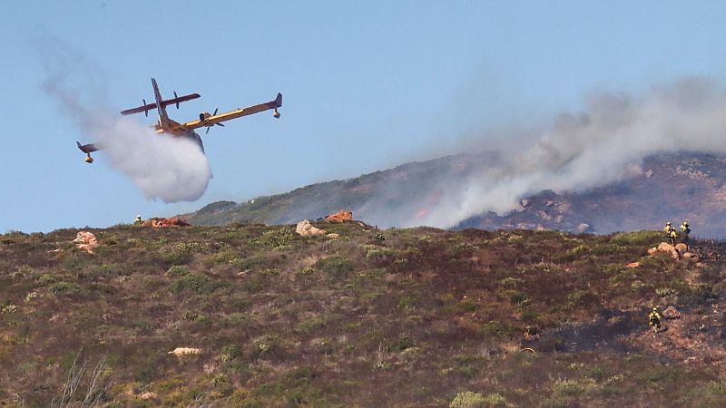 Estabilizado el incendio en un paraje de La Lnea de la Concepcin que ha afectado a unas 150 hectreas