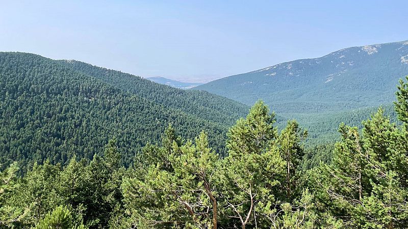 Tres maneras de andar, ver y escuchar la sierra de Guadarrama