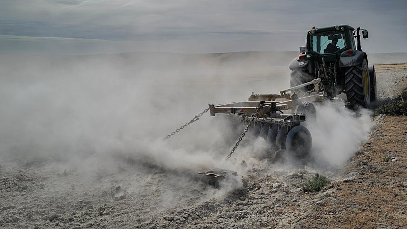 Con la falta de agua al cuello: "Ya no se trata de sequía, sino de escasez estructural"