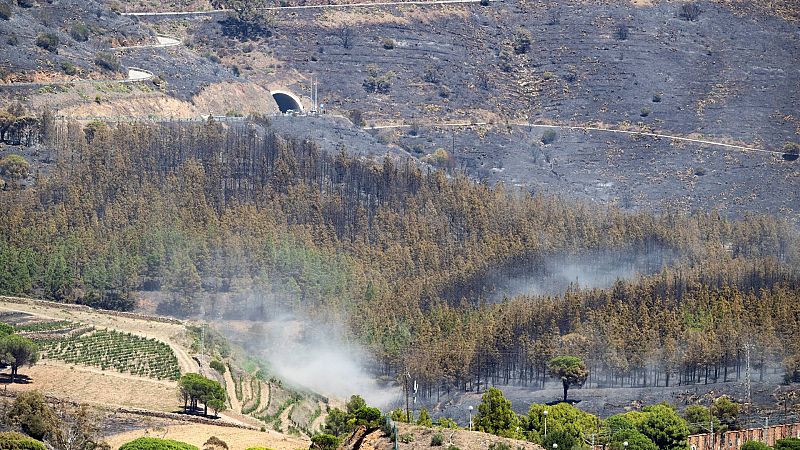 Controlat l'incendi de Portbou