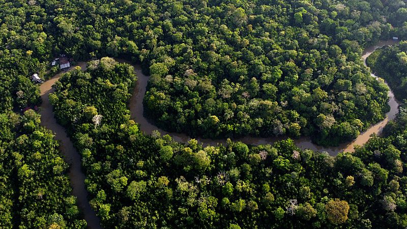 Comienza la cumbre de la Amazonía para garantizar la supervivencia de la mayor selva tropical del planeta
