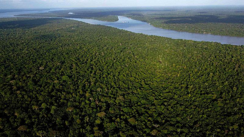 Los países amazónicos adoptan una nueva agenda para la Amazonía sin metas concretas sobre deforestación