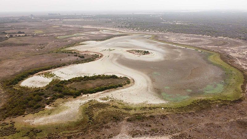 Santa Olalla, la laguna ms grande de Doana, se seca por segundo ao consecutivo