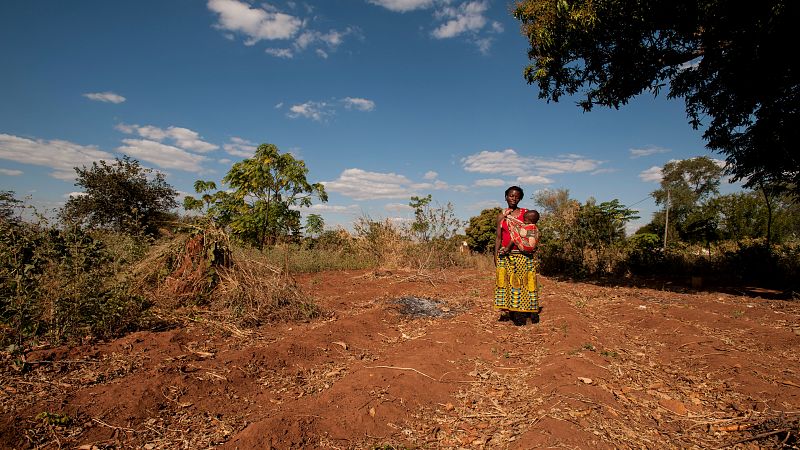 El devastador impacto de El Niño en la alimentación mundial: "Lo poco que tenía lo perdí y no sé qué va a ser de mí"