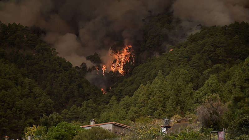El incendio de Tenerife avanza sin control tras arrasar 1.800 hectreas y evacuar varios ncleos de poblacin