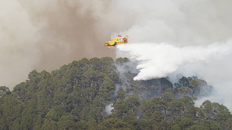 El incendio de Tenerife sigue sin control tras quemar alrededor de 5.000 hectáreas