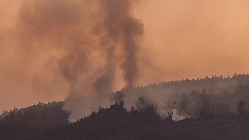 El fuego en Tenerife ralentiza su avance tras quemar ms de 14.800 hectreas, casi la mitad de la corona forestal de la isla