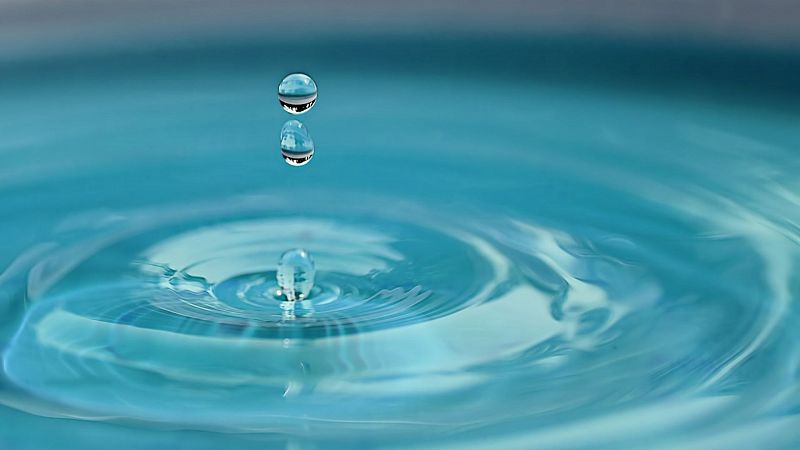 Cinco maneras de reducir el consumo de agua (y muchos trucos para cambiar tus hbitos)
