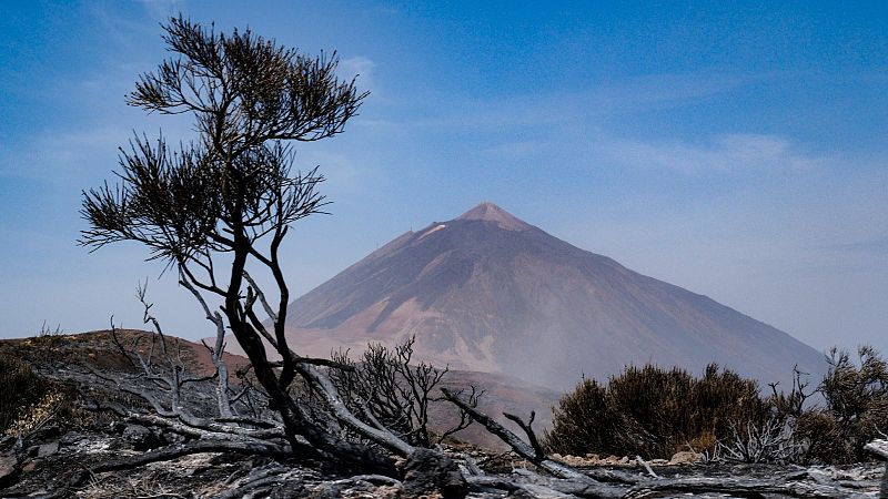 El incendio de Tenerife queda estabilizado nueve días después y tras arrasar más de 14.600 hectáreas