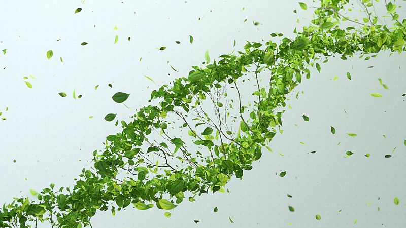 Edición genética de plantas para mejorar los cultivos: así funciona la tecnología CRISPR, a debate en la Unión Europea