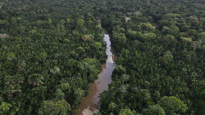 La deforestación en la Amazonía cae un 66% en agosto y alcanza su menor cifra desde 2018
