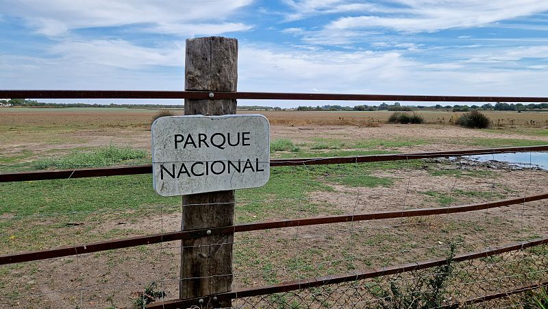 La Junta de Andalucía comprará 7.500 hectáreas para "blindar" Doñana frente "al cambio climático"