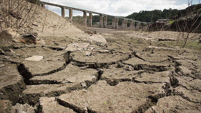 La sequía empuja al campo a una siniestralidad de más de 1.000 millones de euros, la mayor de la historia