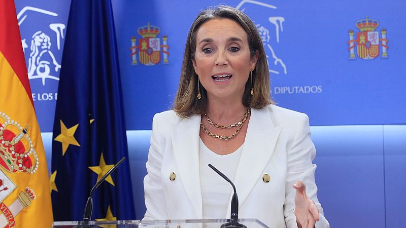 Gamarra asegura que el PP pedir� sesiones de control al Gobierno tras la investidura de Feij�o