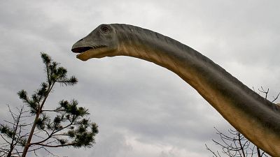 Las cuñas de RNE - Dinosaurios: 30 años de Parque Jurásico en Memoria de Delfín - Escuchar ahora