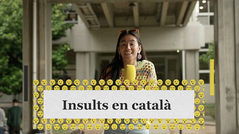 Insults en català que no sabies
