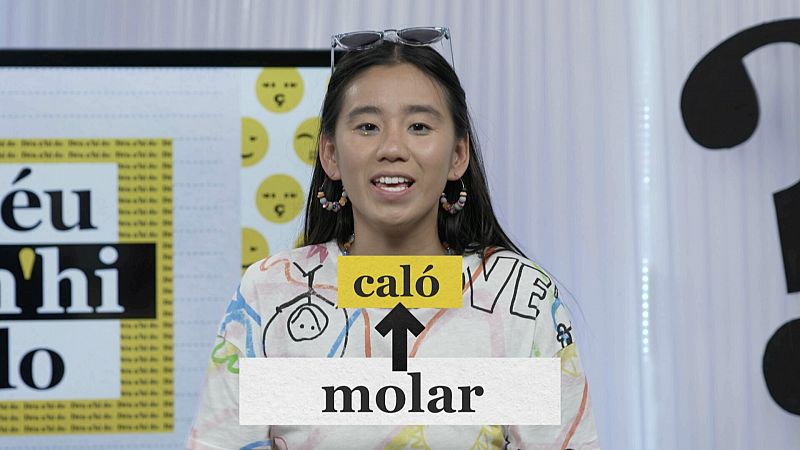 Sabies que en català el verb "molar" és correcte?