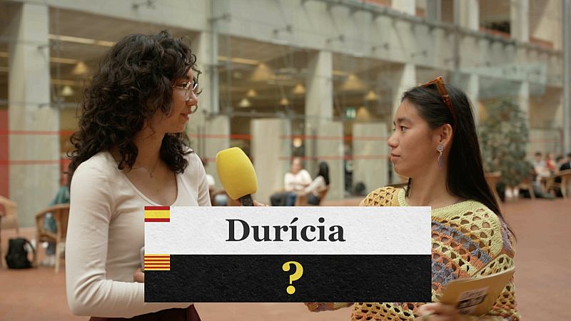 Barbarismes: la lluita que mai acaba