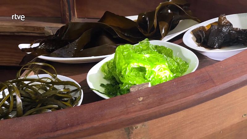 4 algues comestibles que pots cuinar en aquestes receptes