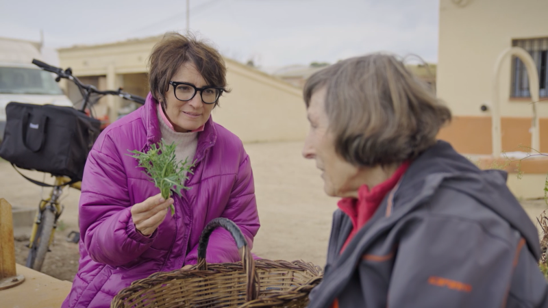 L'espigall, la verdura desconeguda del Garraf