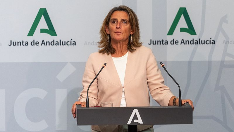 Ribera se muestra "muy satisfecha" con el acuerdo con la Junta de Andalucía: "Nos permite salvar Doñana"