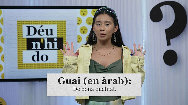 D'on ve la paraula 'guai'?