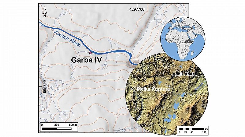 Una mandíbula infantil confirma la aparición de 'Homo erectus' hace dos millones de años