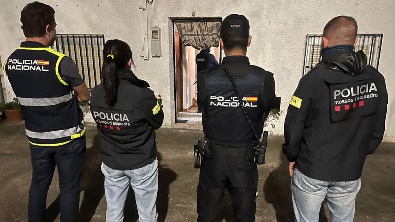 11 detinguts en l'operació policial contra un grup neonazi