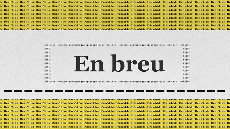En breus o en breu?