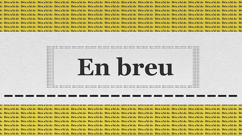 En breus o en breu?