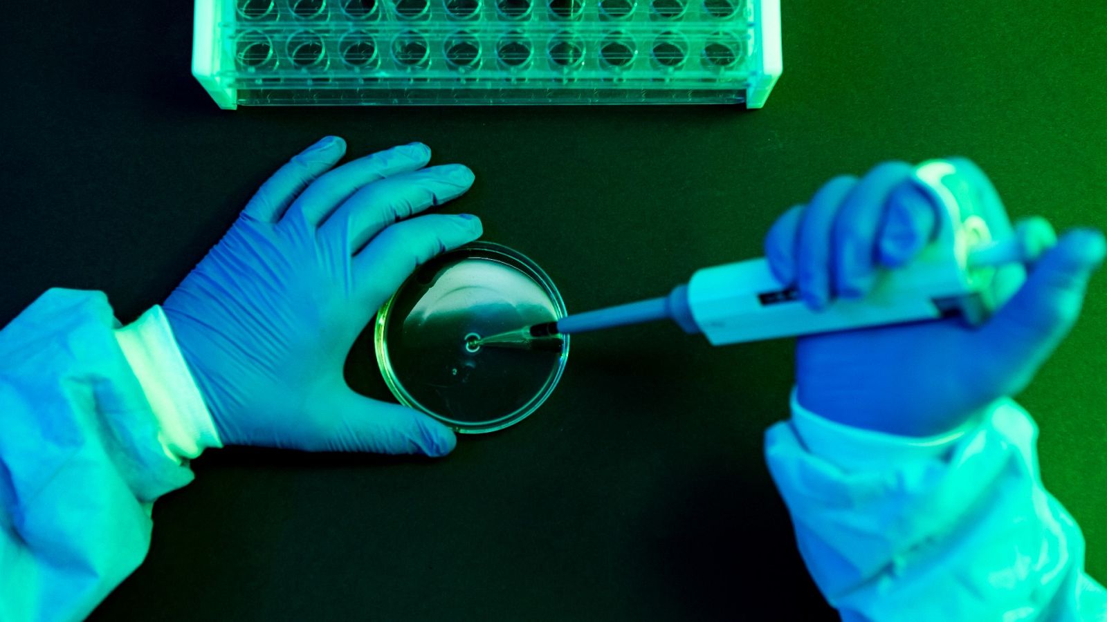 La Universidad de Barcelona investiga la muerte de un científico que guardaba muestras "potencialmente peligrosas"