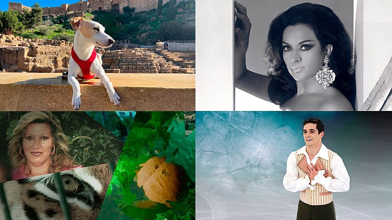 RTVE Docs, el nuevo canal temático de Play con los mejores documentales