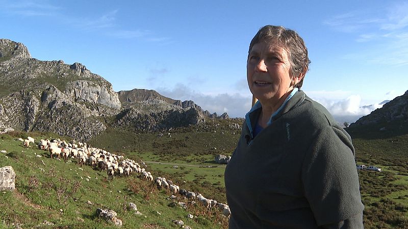 El pastoreo de montaa, en femenino: aumentan las mujeres que quieren reinventarse