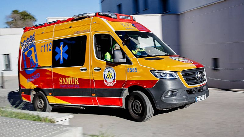 Muere una mujer de 27 aos tras ser atacada por unos perros en Roales del Pan, Zamora