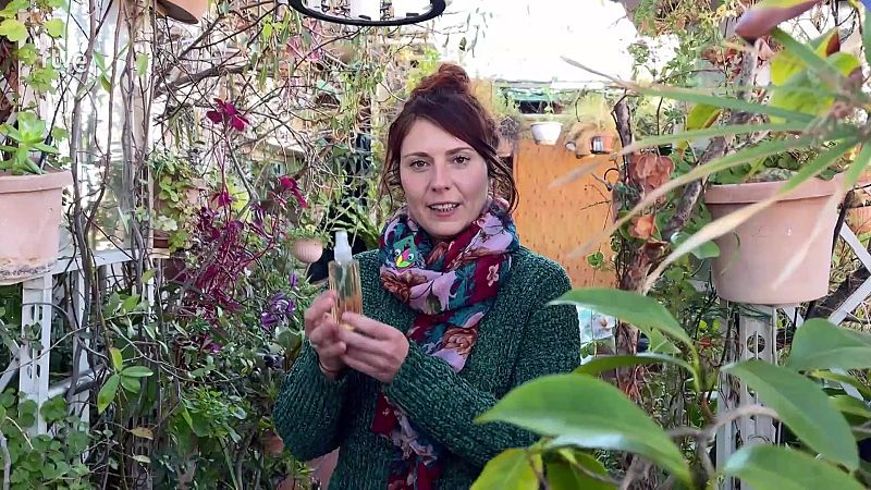 Recupera la brillantor del teu cabell amb aquest tònic fet amb ingredients naturals