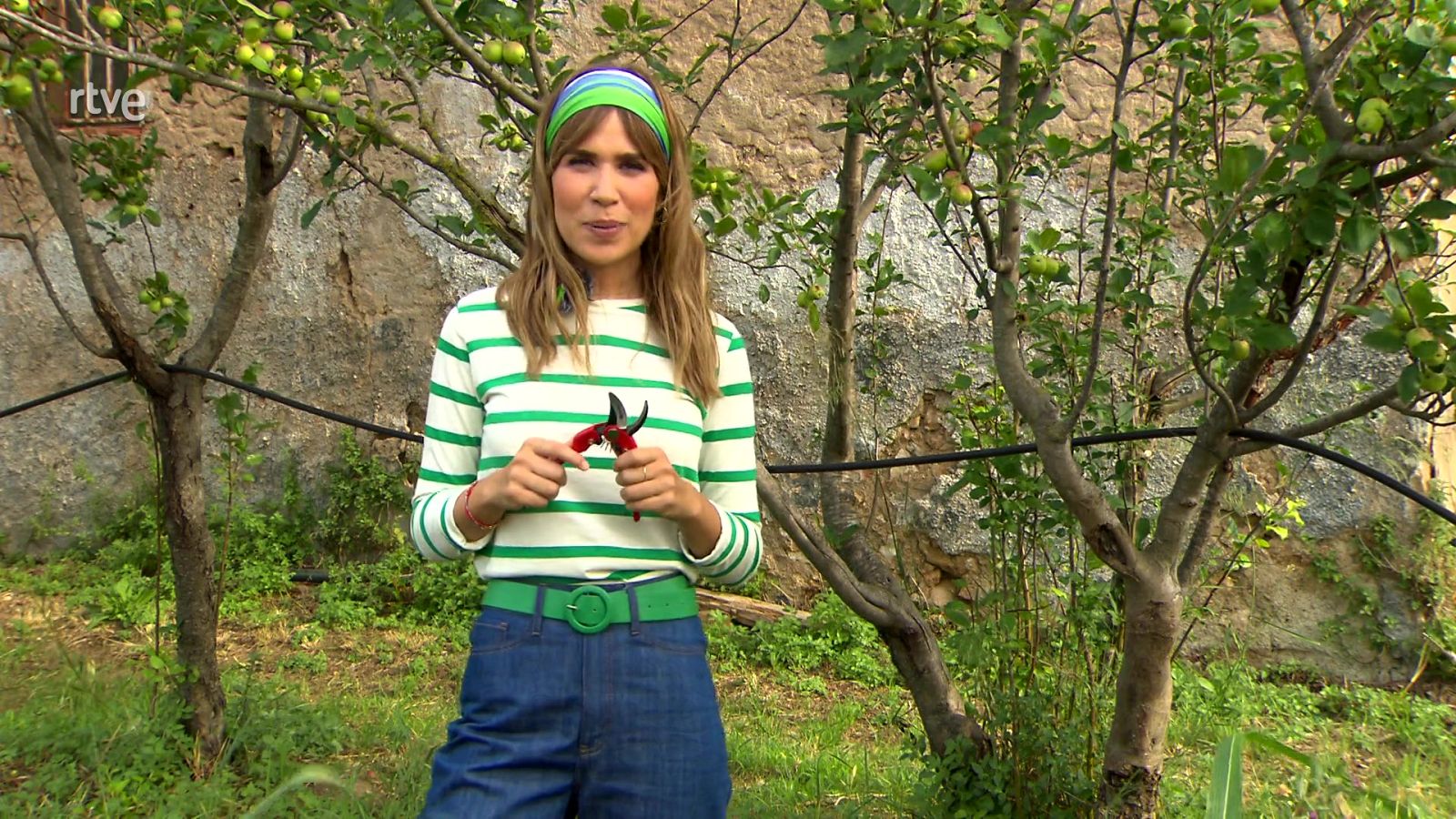 Va de Verd - Eines i maquinària per hort i jardí - Veure ara