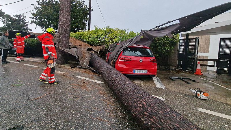 Muere una mujer de 23 años en Madrid tal caer un árbol por el viento de la borrasca Ciarán
