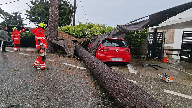 Muere una mujer de 23 años en Madrid tal caer un árbol por el viento de la borrasca Ciarán