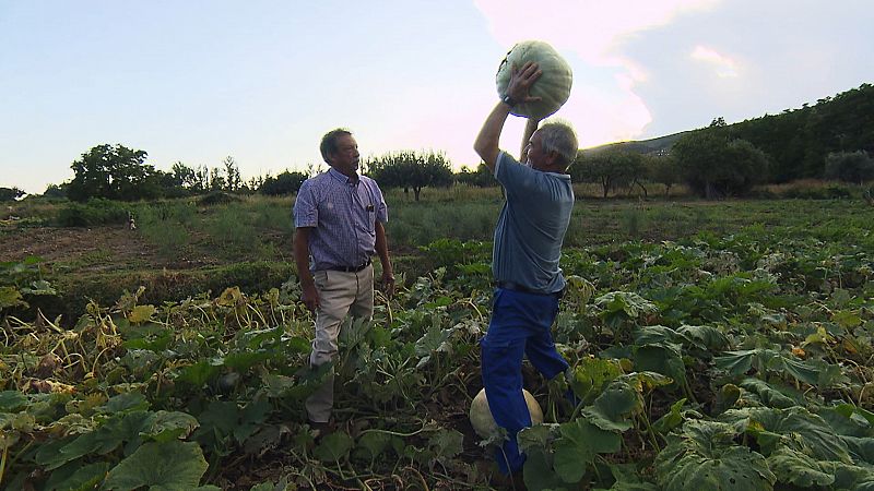 Campus rural, el programa para reactivar los pueblos gracias a los universitarios