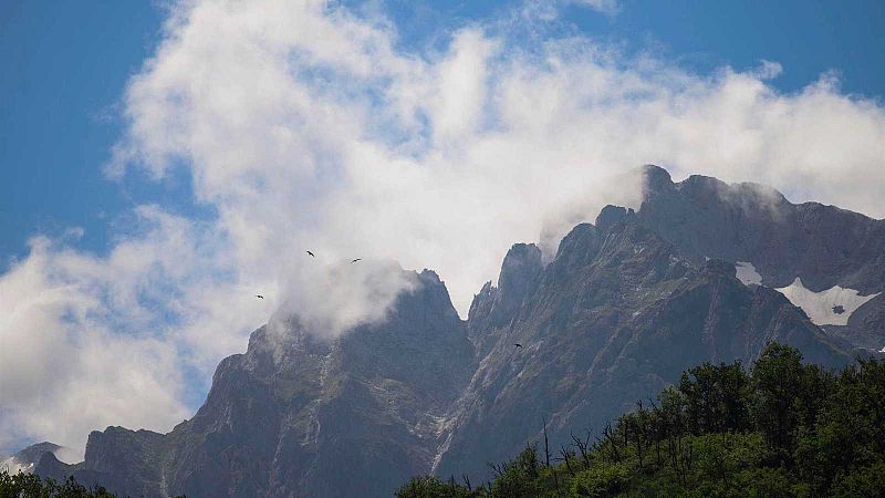 La Unión Europea logra un acuerdo político sobre la polémica Ley de Restauración de la Naturaleza